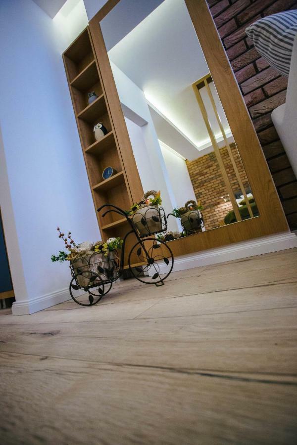 Briana Luxury Studio Cluj-Napoca Ngoại thất bức ảnh